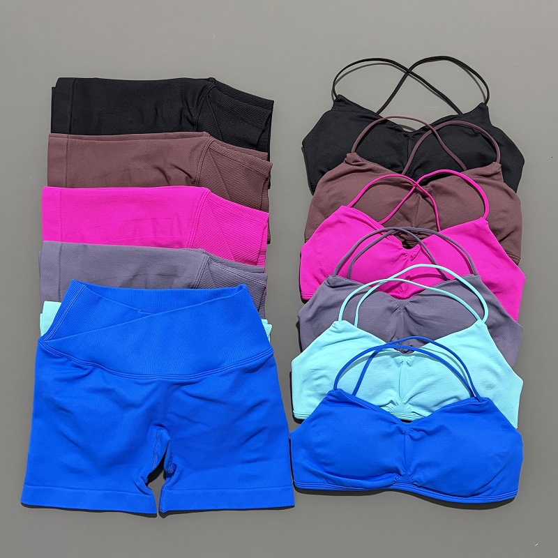 Yoga Fitness Set - 2 peça visão ginásio conjunto feminino